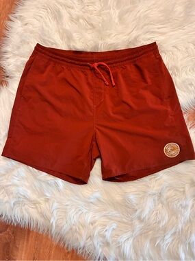 Patagonia Hydropeak Volley Board Shorts 86435 Great Pacific Iron Works Patch XL
